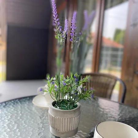 Horizont-idéző Parkmotel Apartahotel